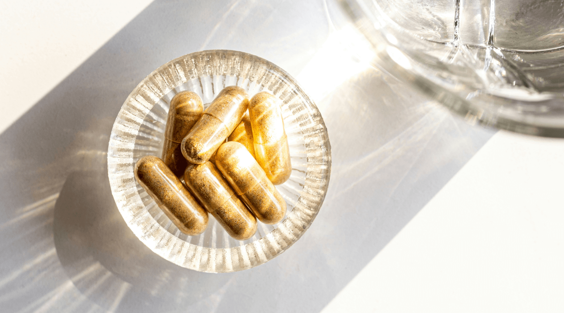 What is Ashwagandha and What are It's Health Benefits?