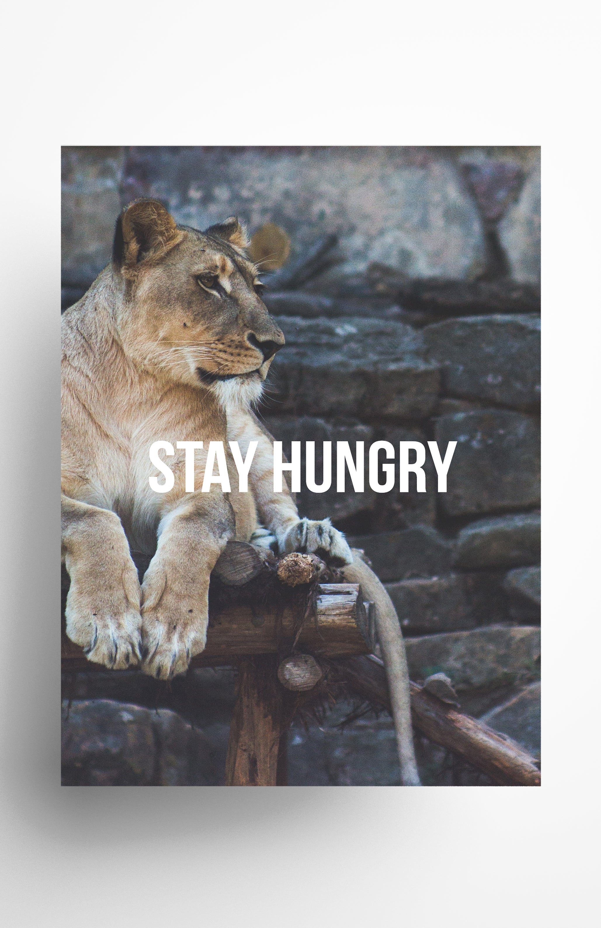 V3 Apparel womens Stay Hungry, Motivational posters, mens inspirational wall artwork and empowering poster quote designs for office, home gym, school, kitchen and living room.