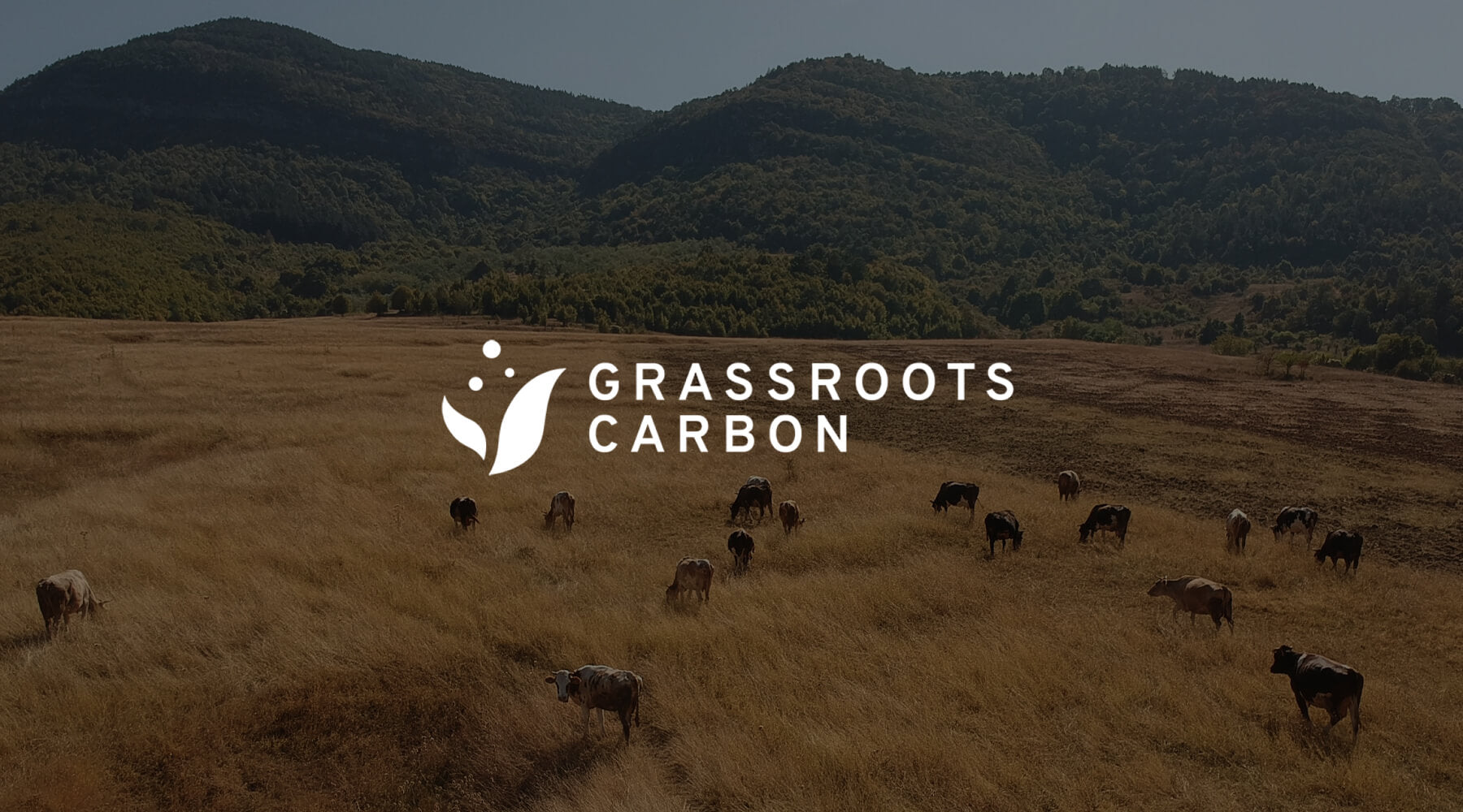 V3 x Grassroots Carbon