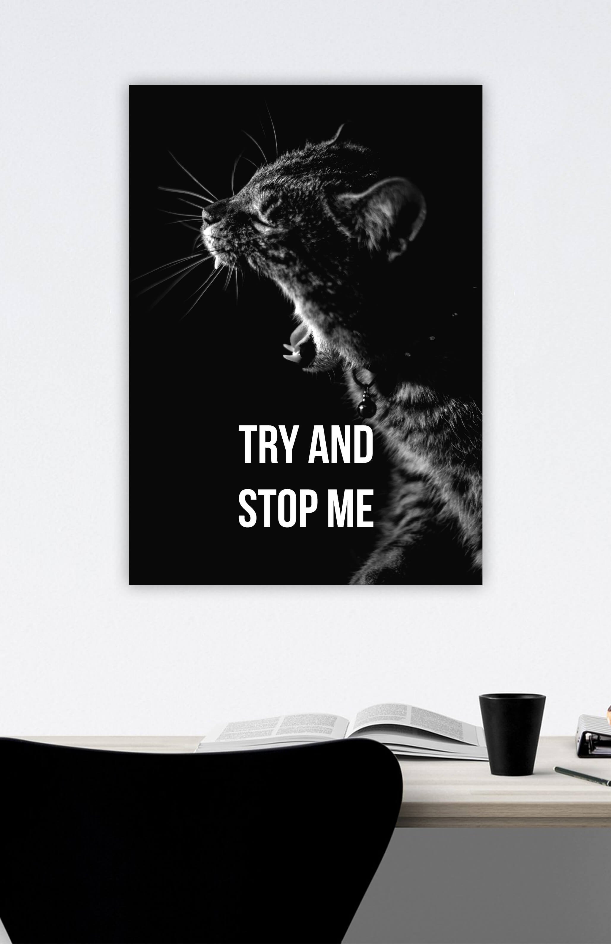 redbaysand womens Try and Stop Me, Motivational posters, mens inspirational wall artwork and empowering poster quote designs for office, home gym, school, kitchen and living room.