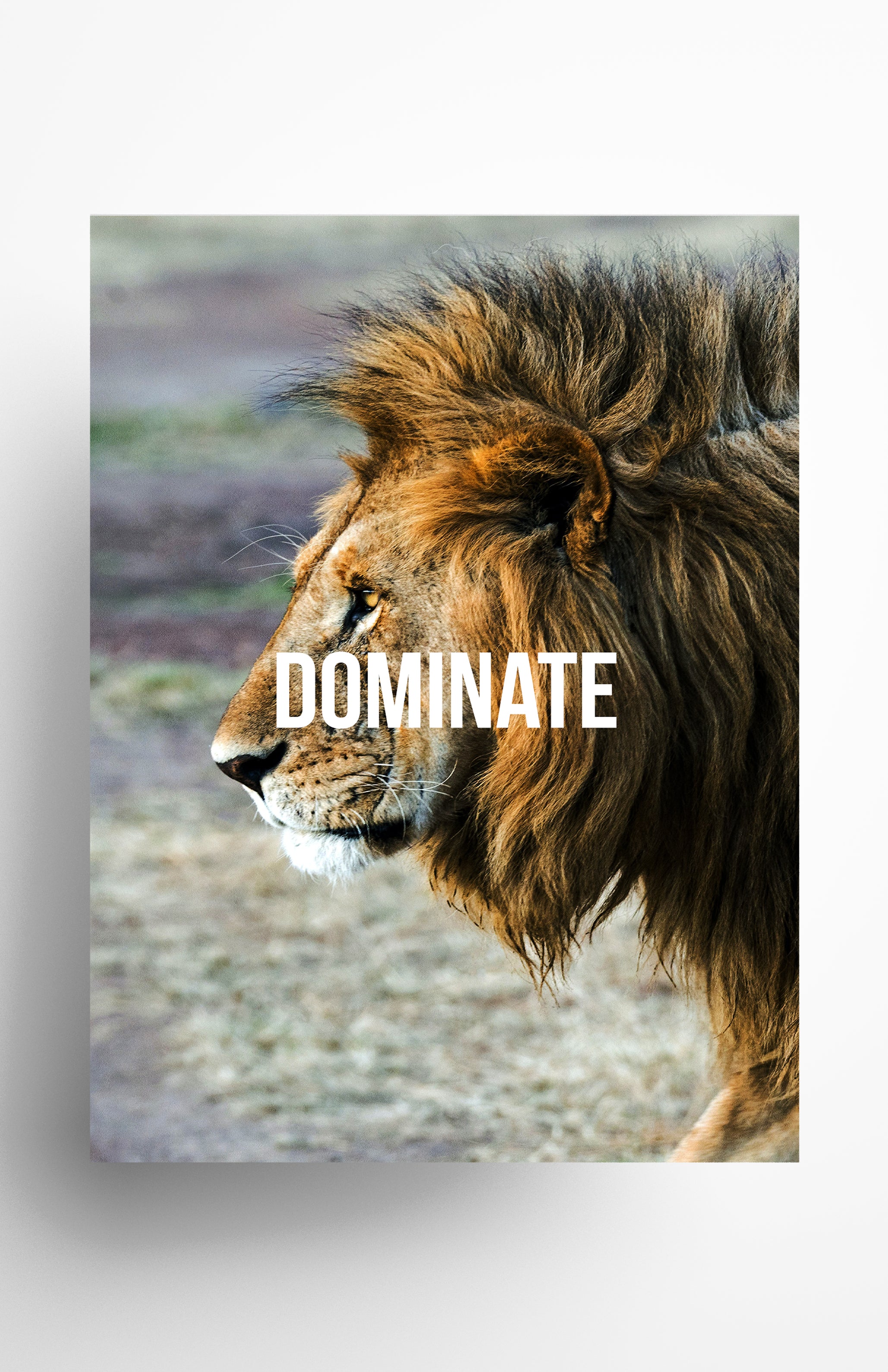 V3 Apparel womens Dominate, Motivational posters, mens inspirational wall artwork and empowering poster quote designs for office, home gym, school, kitchen and living room.